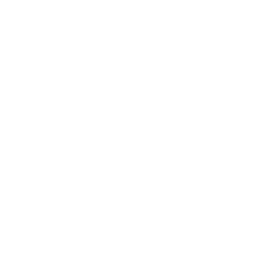 VIPAVENUE Logo